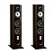 Triangle ANTAL 40th Santos Rosewood