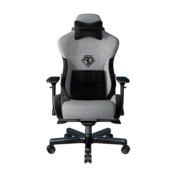 Компьютерное кресло AndaSeat T Pro 2 Series Grey Black - рис.0