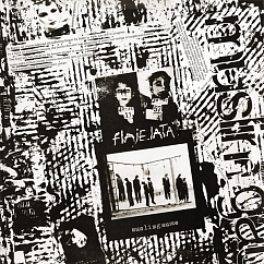 Виниловая пластинка Muslimgauze – Flajelata LP