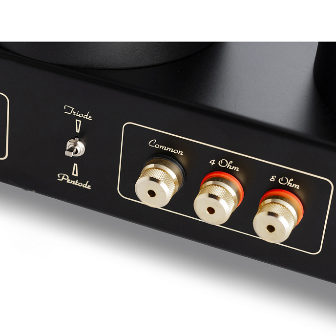 Усилитель мощности Mastersound Booster Monoblock Black Wood - рис.6