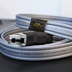 Кабель Wireworld Platinum Starlight 10 Twinax Ethernet Cable 1m