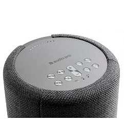 Портативная колонка Audio Pro A10 MKII Dark Grey