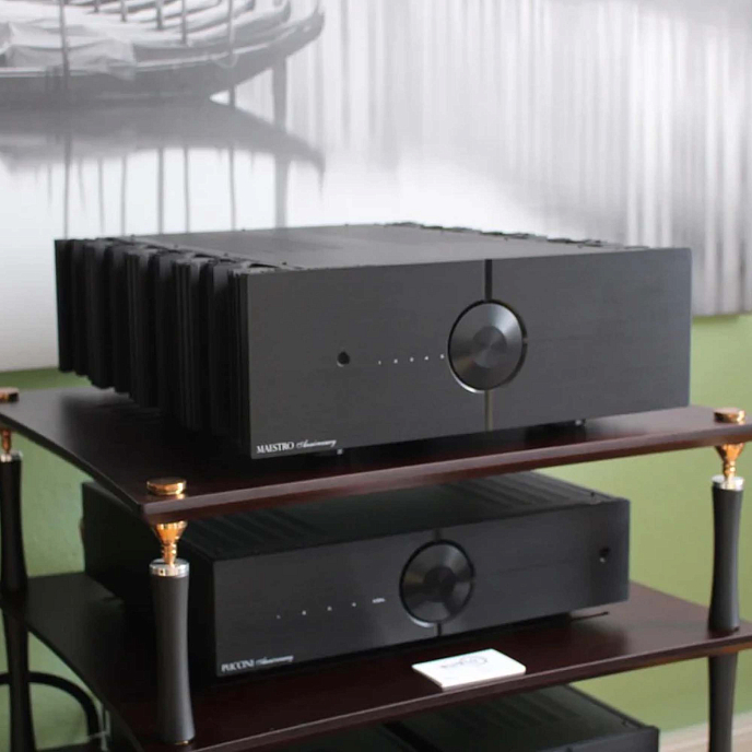 Интегральный усилитель Audio Analogue Maestro Anniversary Black - рис.8