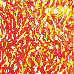 Виниловая пластинка The Bug - Fire (coloured) - 2LP