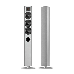 Напольная акустика Piega Ace 50 Silver