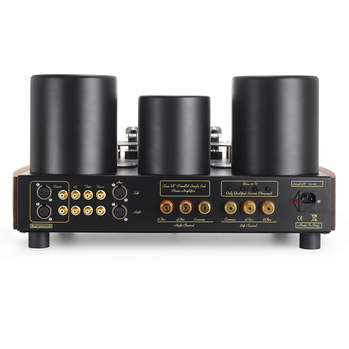 Интегральный усилитель Mastersound Evolution 845 Black Wood - рис.3