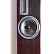 Напольная акустика Apertura Edena Evolution Rosewood High Glossy - рис.4