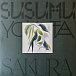 Бокс-сет Susumu Yokota – Volume 1 - Albums 1-7 (Skintone Edition, Box-set) LP - рис.17