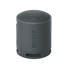 Беспроводная акустика Sony SRS-XB100 Black