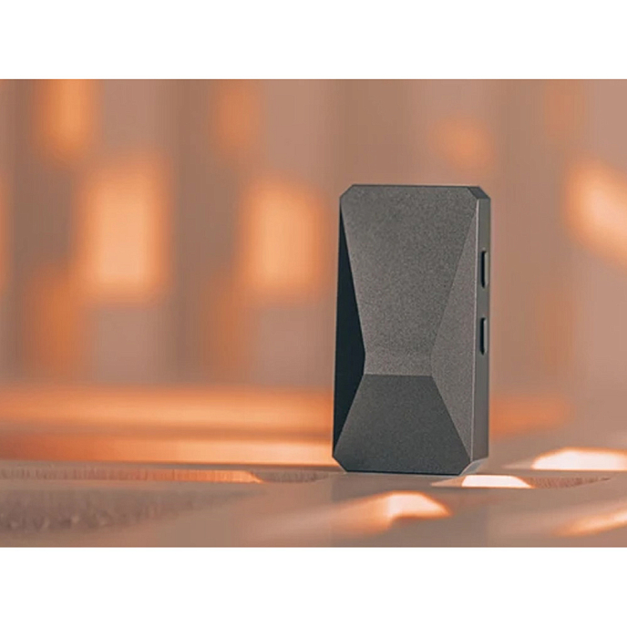 Усилитель для наушников с ЦАП DUNU DTC 480 Brown - рис.5