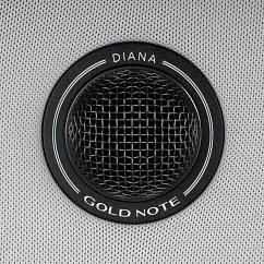 Центральный канал Gold Note Diana Center Silver Black