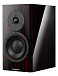 Полочная акустика Dynaudio Special Forty Black Vine High Gloss - рис.2