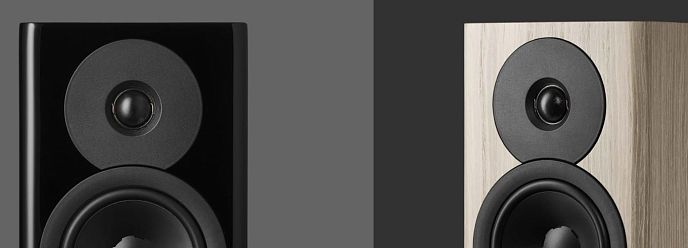 Акустическая система Dynaudio Evoke 10 Blonde Wood - рис.5