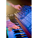 - рис.13 Синтезатор Arturia MatrixBrute - рис.13