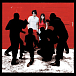 Виниловая пластинка The White Stripes - White Blood Cells 20TH ANNIVERSARY LP - рис.0