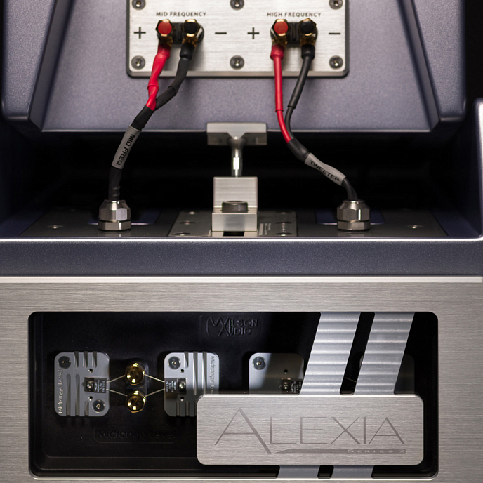 Напольная акустика Wilson Audio Alexia Series 2 GT Silver - рис.3