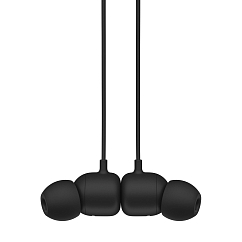 Беспроводные наушники Beats Flex All-Day Wireless Black