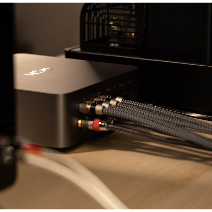 Сетевой аудиоплеер WiiM Ultra Silver - рис.6