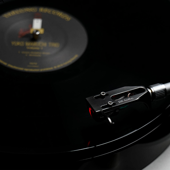 Звукосниматель DS Audio DS-W3 Cartridge Black - рис.6