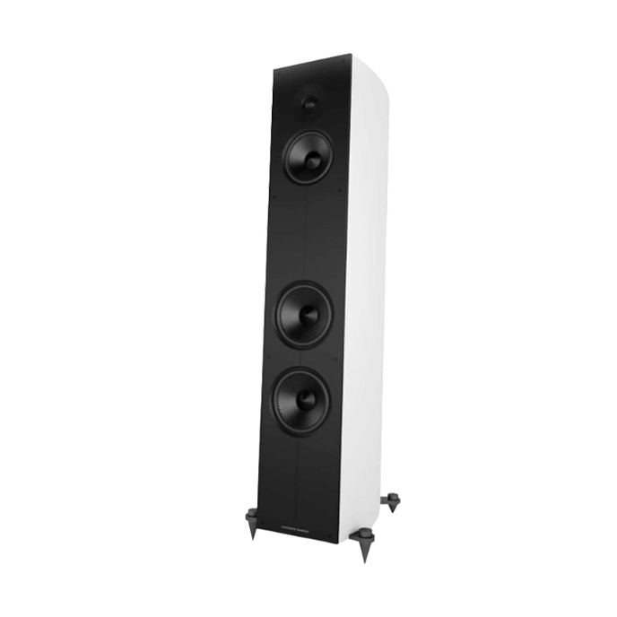 Напольная акустика Acoustic Energy Corinium Matte White - рис.1