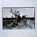 Виниловая пластинка Nina Hagen Band - Nina Hagen Band LP - рис.2