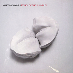Виниловая пластинка Vanessa Wagner – Study Of The Invisible - 2LP