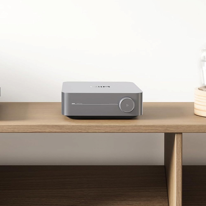 Интегральный усилитель WiiM AMP Space Gray - рис.11