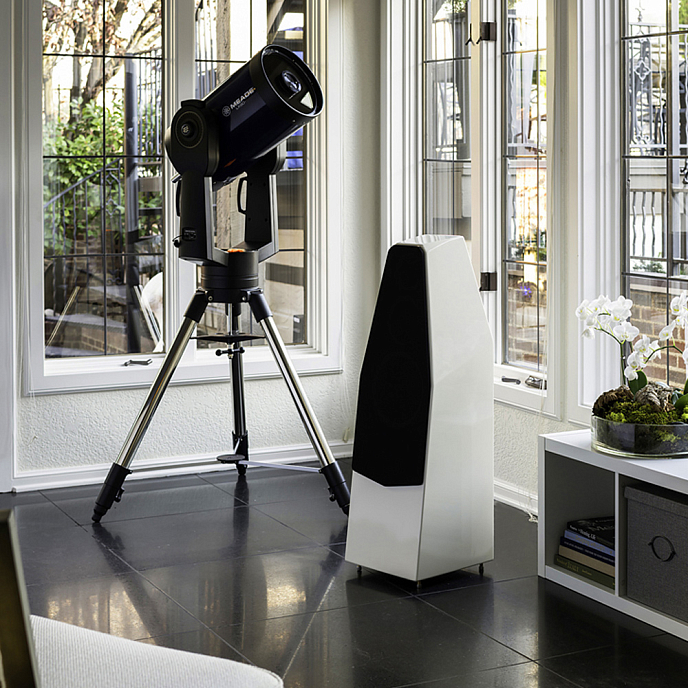 Напольная акустика Wilson Audio Sabrina X Carbon - рис.10