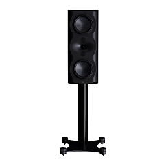 Полочная акустика Perlisten Audio R5m Piano Black