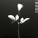 Виниловая пластинка Depeche Mode – Violator LP - рис.2
