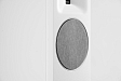Напольная акустика Martin Logan Motion XT F100 Tower Satin White - рис.10