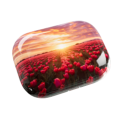 Беспроводные наушники Apple AirPods Pro 2 USB-C Tulip Fields