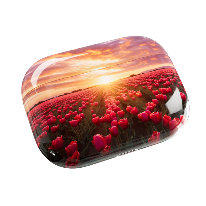 Беспроводные наушники Apple AirPods Pro 2 USB-C Tulip Fields - рис.1