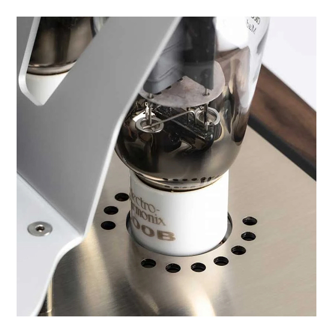 Интегральный усилитель Mastersound Evo 300B Black Wood - рис.1