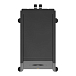 Сабвуфер Gold Note Diana III Subwoofer Black - рис.2