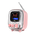 Портативная колонка Divoom Tiivoo 2 Pink - рис.0