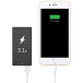 Сетевое зарядное устройство Native Union Smart 2 Charger 3.1 A Grey - рис.8