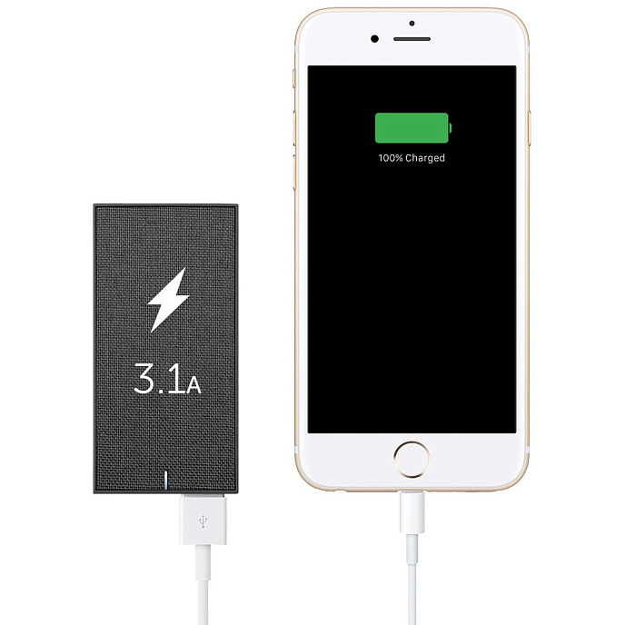 Сетевое зарядное устройство Native Union Smart 2 Charger 3.1 A Grey - рис.8