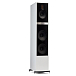 Напольная акустика Martin Logan Motion 60XTi Matte White - рис.2
