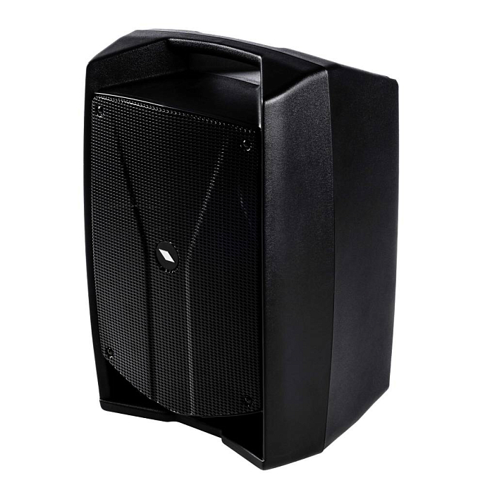 Акустическая система Proel V10Free Black - рис.4
