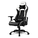 Компьютерное кресло Sharkoon Elbrus 3 White Black - рис.0
