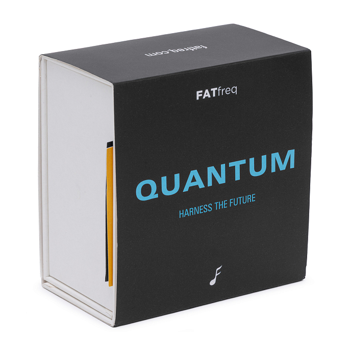 Наушники FATfreq x Effect Quantum Silver Black - рис.7