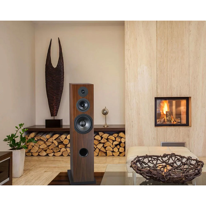 Напольная акустика Davis Acoustics Courbet N 8 Walnut - рис.12