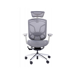 Компьютерное кресло GTChair Dvary X grey