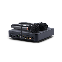 Караоке-система Studio Evolution EVOBOX Classic Black