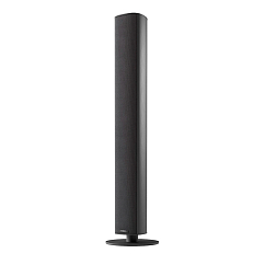 Напольная акустика Piega Ace 50 Black