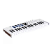 MIDI-клавиатура Arturia MiniLAB 37 White - рис.1
