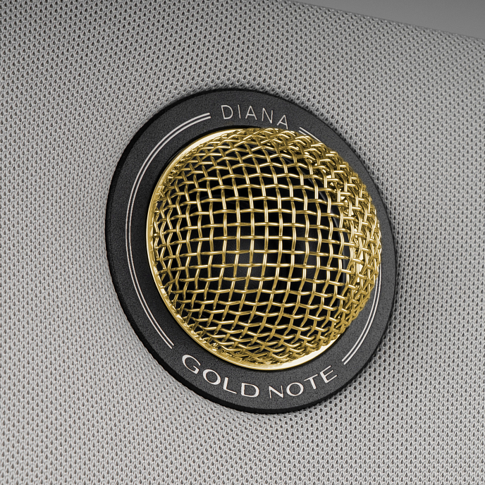 Полочная акустика Gold Note Diana ll Silver Gold - рис.3