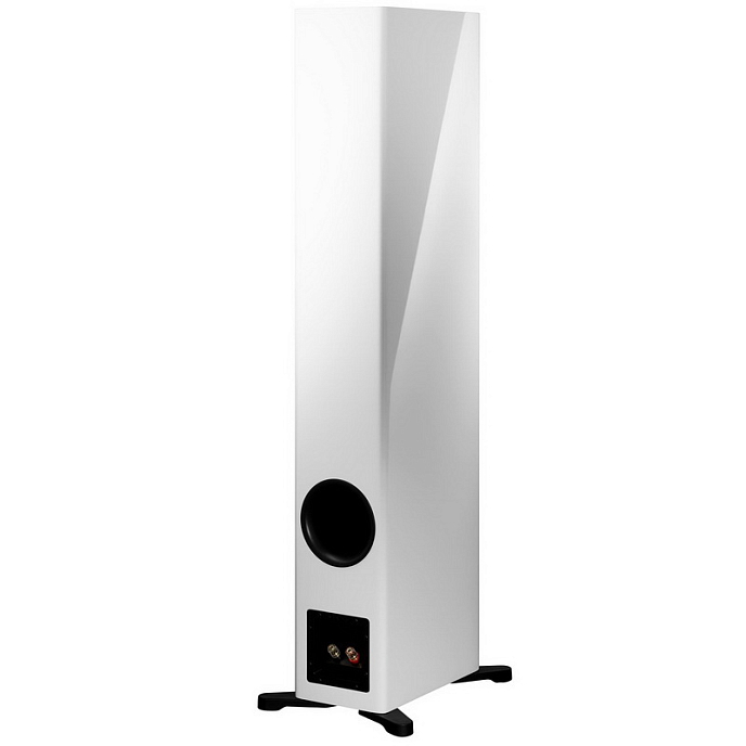 Напольная акустика Dynaudio Evoke 50 White High Gloss - рис.2