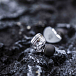Наушники внутриканальные KiwiEars Belle (Type-c) Silver - рис.6 Наушники внутриканальные KiwiEars Belle (Type-c) Silver - рис.6